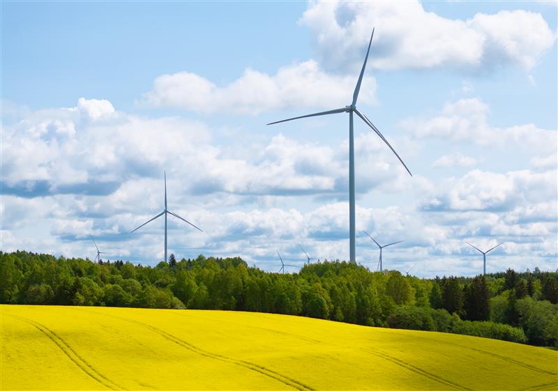 Grupa Ignitis: solidne wyniki za pierwsze półrocze 2025 roku dzięki realizacji strategicznych projektów w zakresie zielonej energii